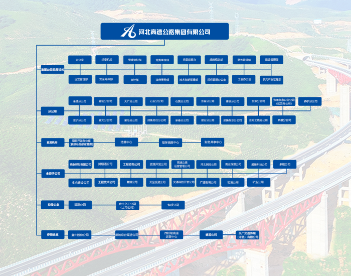 公司组织架构图2024.10.25